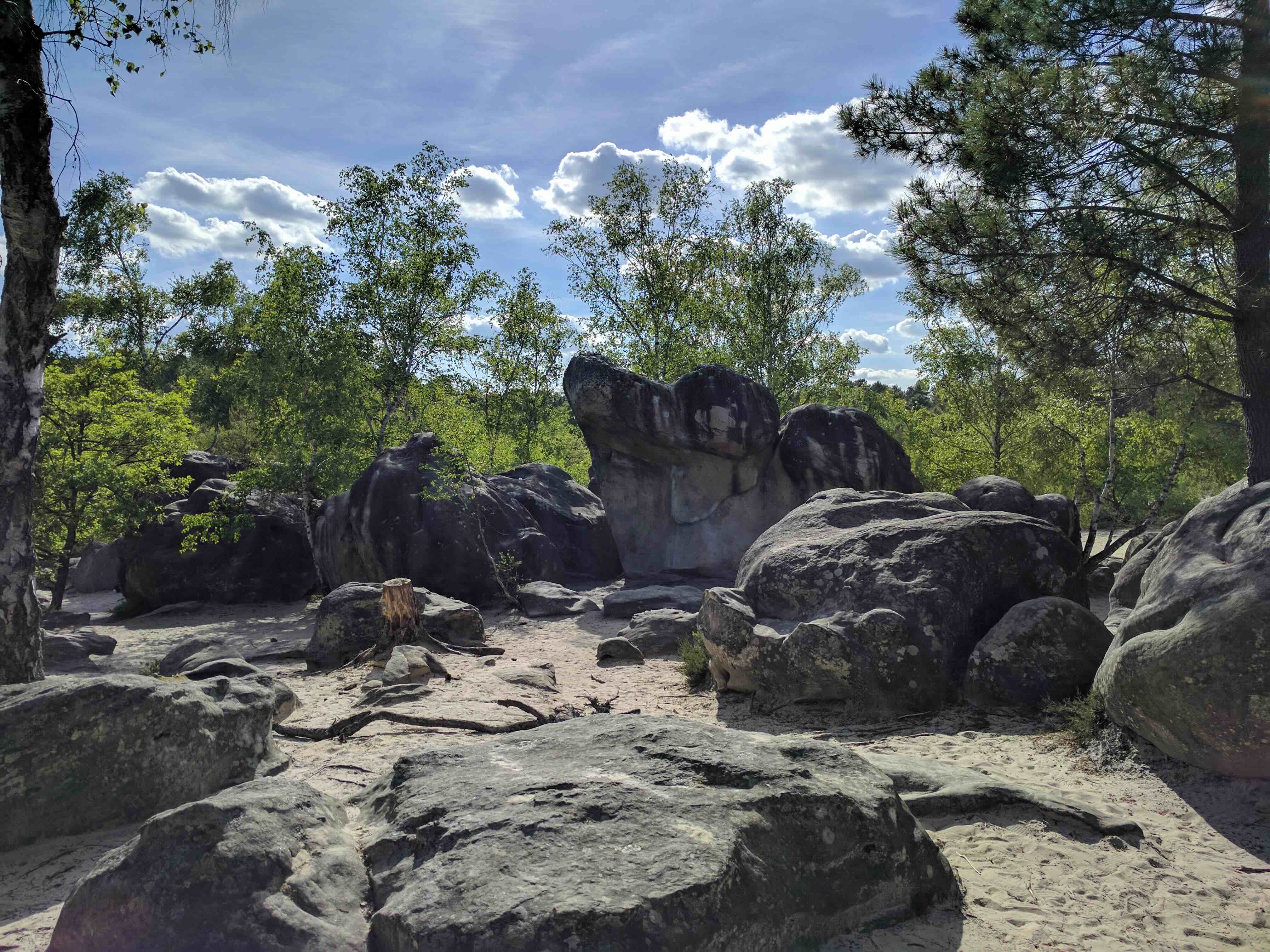 Climbing in Fontainebleau - 3
